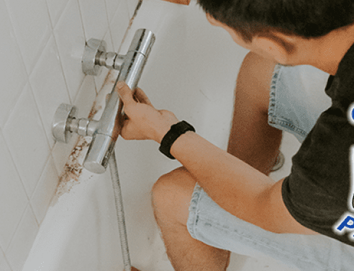 Plumbing 101: Mastering the Ins and Outs of Your Home Plumbing System