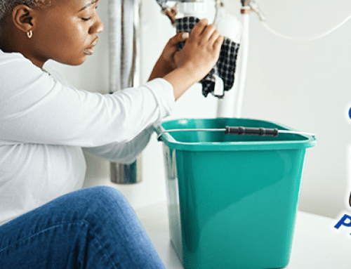 A Solid Foundation: Top Plumbing Considerations for New Construction in Brandon