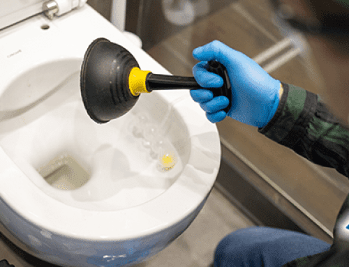Toilet Maintenance 101: Tips for Plant City Homeowners