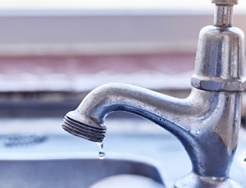 Thanksgiving Plumbing Tips: How to Avoid Clogged Drains in Dover, Florida