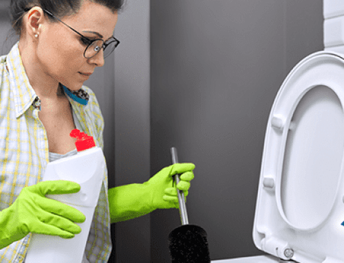 DIY vs. Professional: When to Call a Plumber for Toilet Repair?