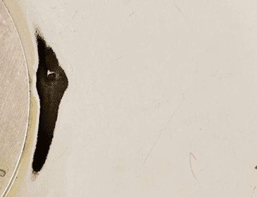 Septic System vs. City Sewer: Which is Right for You?